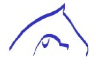 Chirovet - Client Logo for Egnetix Digital SEO Consultancy